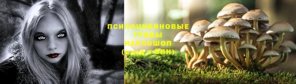apvp Зерноград