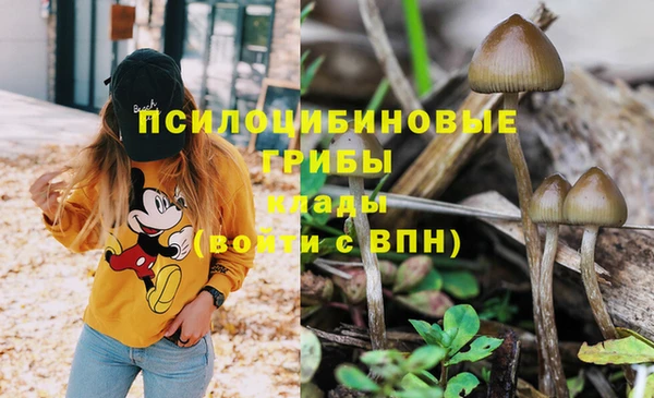 дмт Зеленокумск