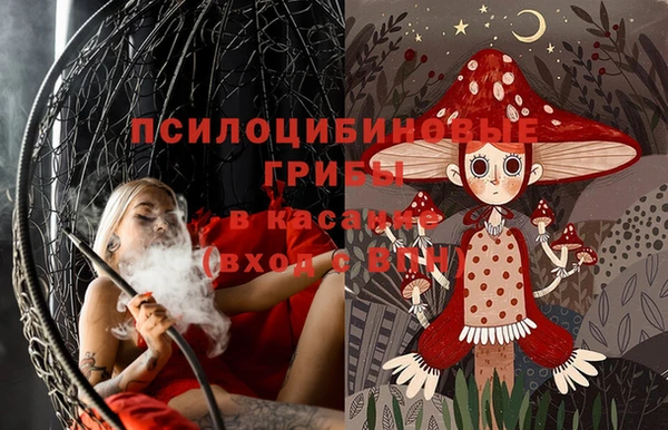 дмт Зеленокумск