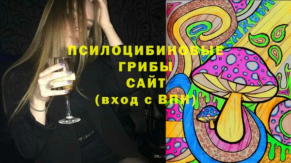 apvp Зерноград